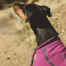 Поводок (репшнур-ринговка) Ruffwear® Just-a-Cinch™ - 