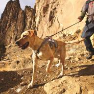 RUFFWEAR DoubleBack Harness