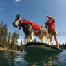 Спасательный жилет для собак Ruffwear® K-9 Float Coat™ - 